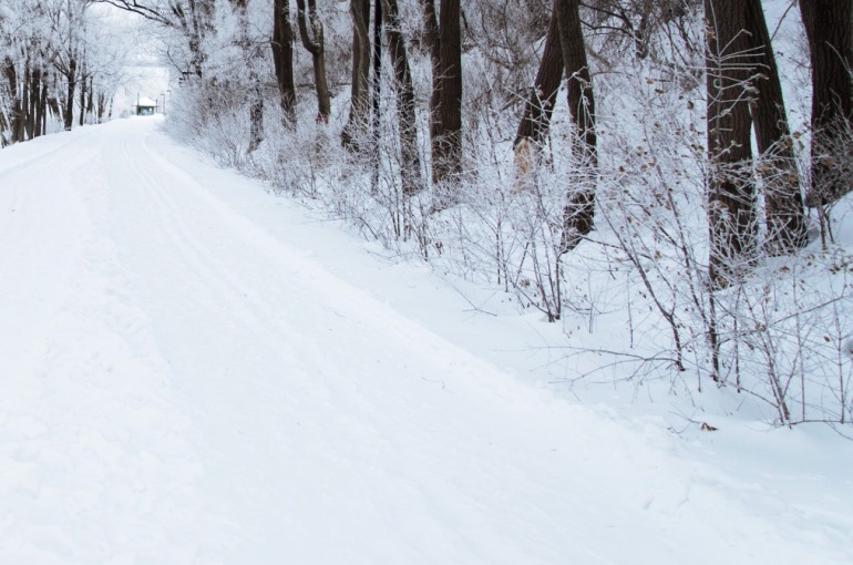 How to prepare beehives for winter