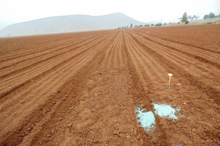 إعداد التربة ومتطلبات التربة لزراعة البطاطس