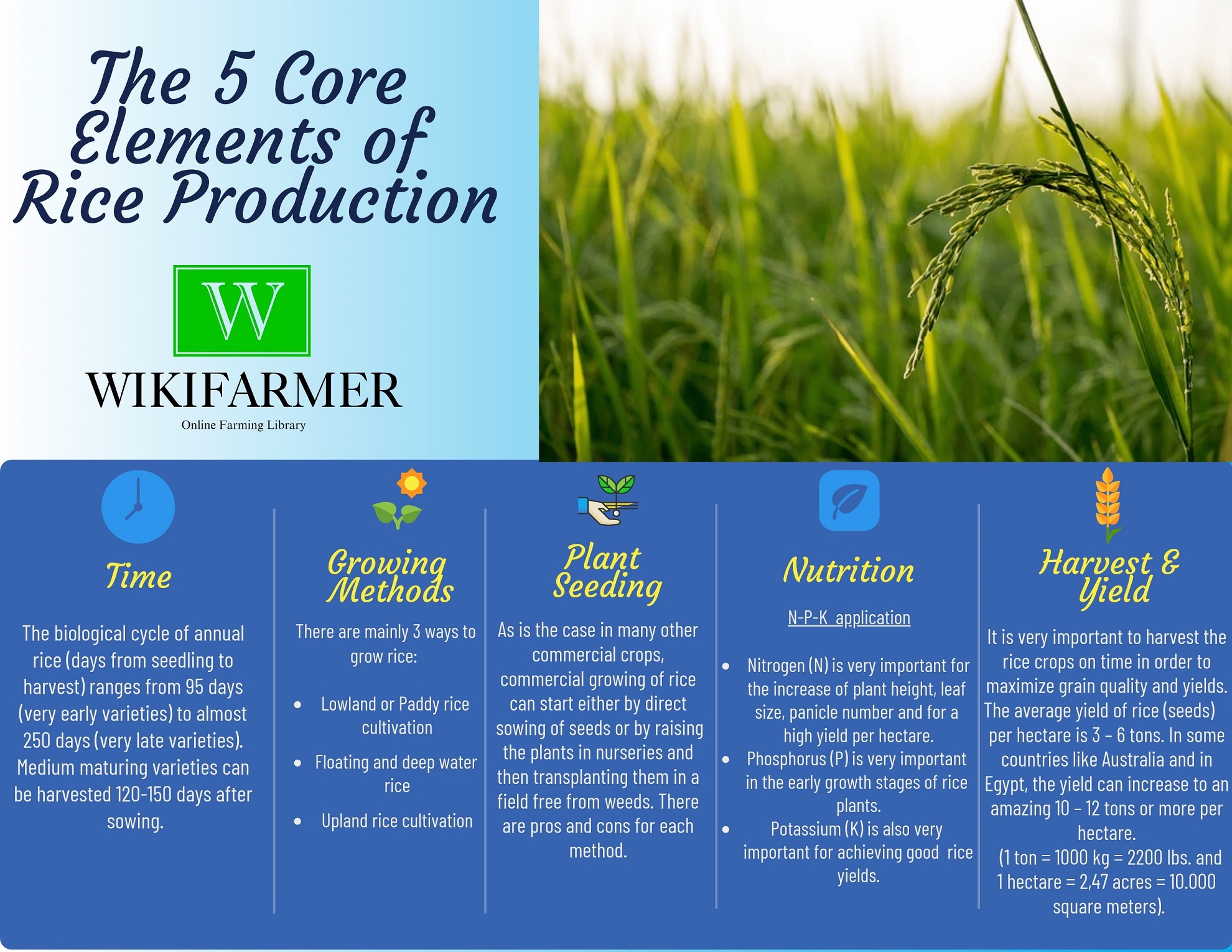rice cultivation business plan