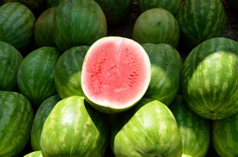 Melon (plante) — Wikipédia