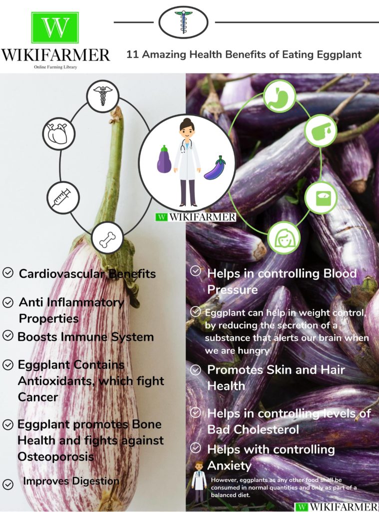 11 Amazing Health Benefits of Eating Eggplant