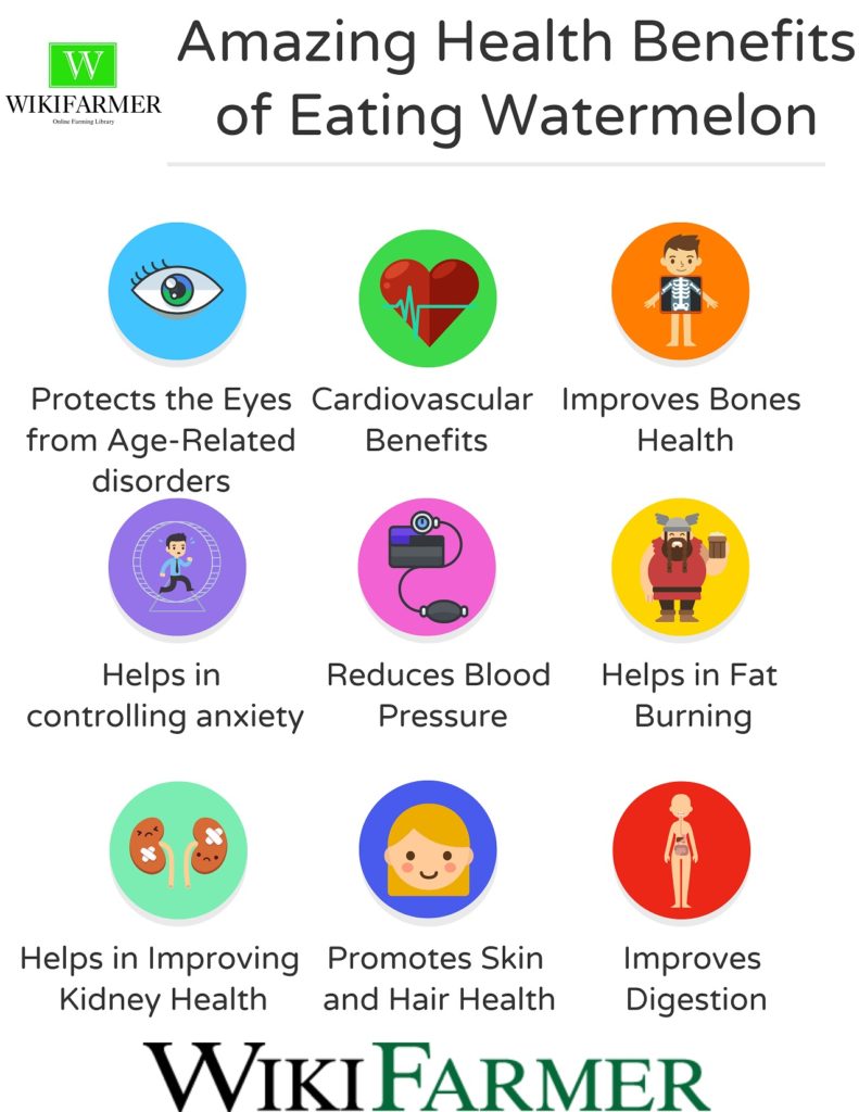 12 Amazing Health Benefits of Eating Watermelon