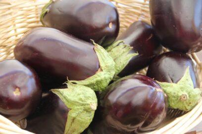 11 bienfaits santé étonnants des aubergines