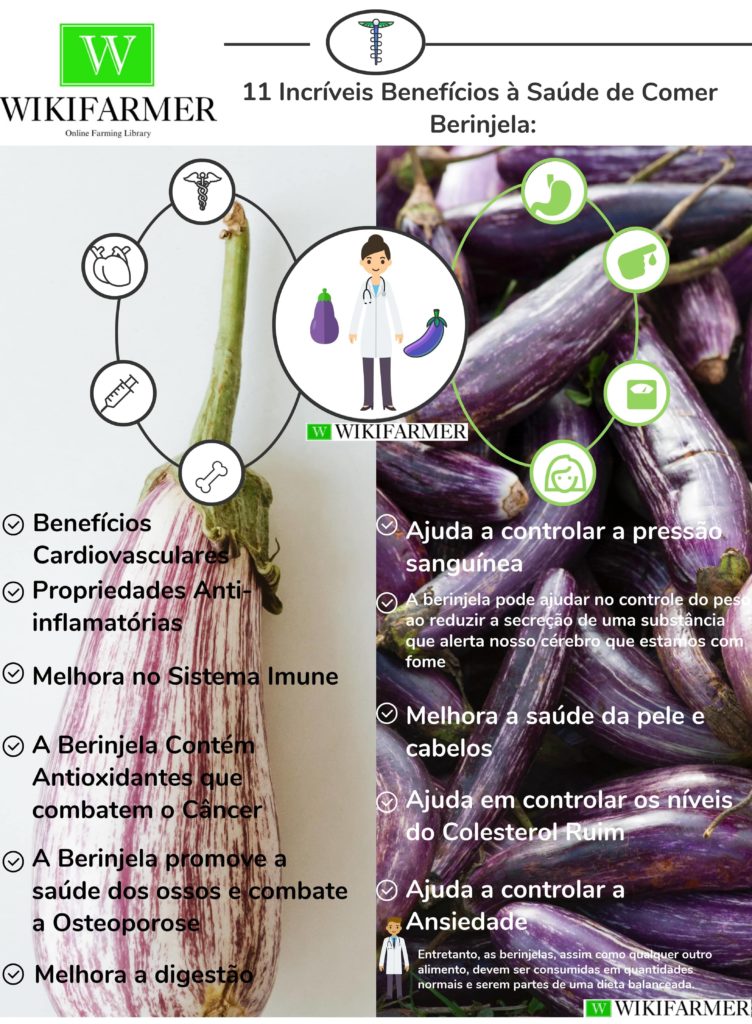 Descubra os incríveis benefícios do damasco - Melhor com Saúde