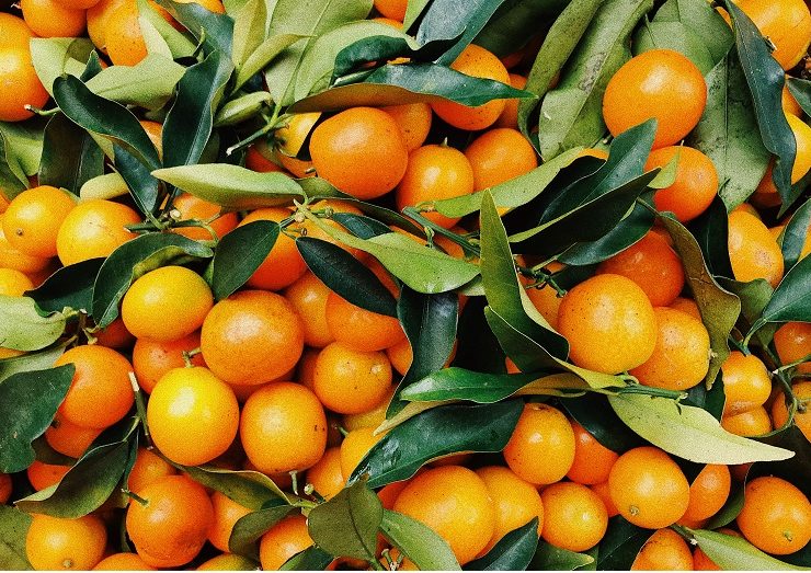 Gesundheitliche Vorteile der Orange – Wie gesund ist die Orange?