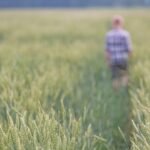 Фермерская деятельность для новичков — как стать фермером