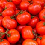 Tomato Facts and History