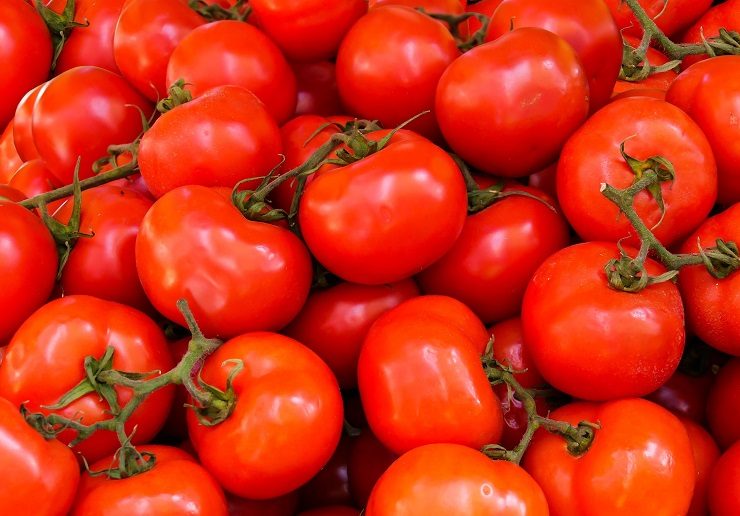 Tomato Facts and History
