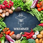 Wikifarmer Careers