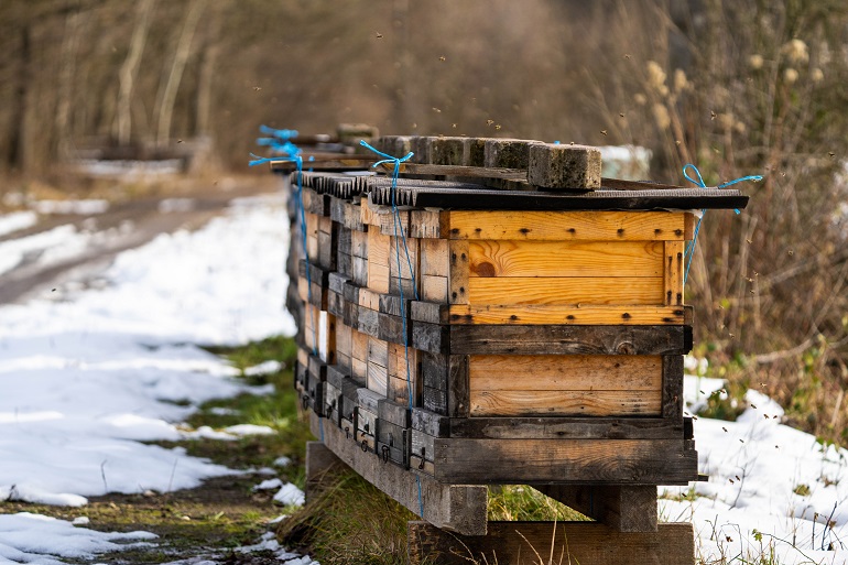 Bijenkorven voorbereiden op de winter