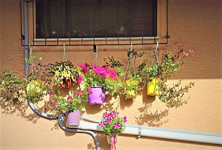 Hanging flower baskets