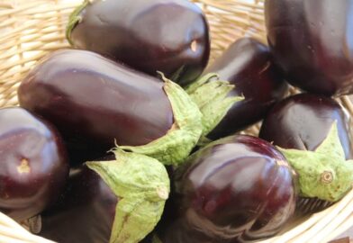 11 Verbazingwekkende gezondheidsvoordelen van het eten van aubergine - Hoe goed is aubergine voor je?