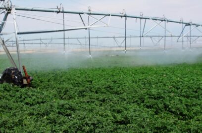 Aardappelwatervereisten en irrigatiesystemen