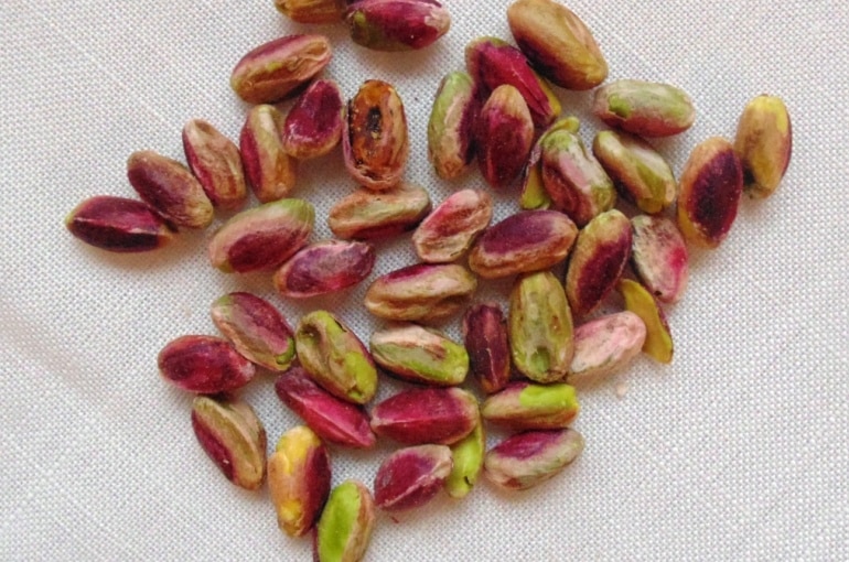 piantare pistacchio da seme