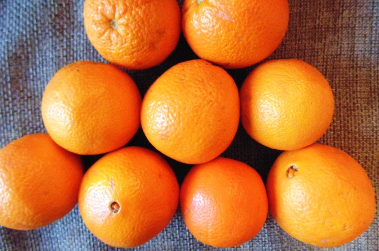 选择橙子品种