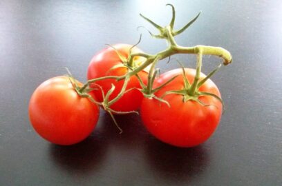 番茄的营养事实