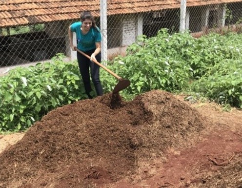 composting process