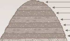 composting process