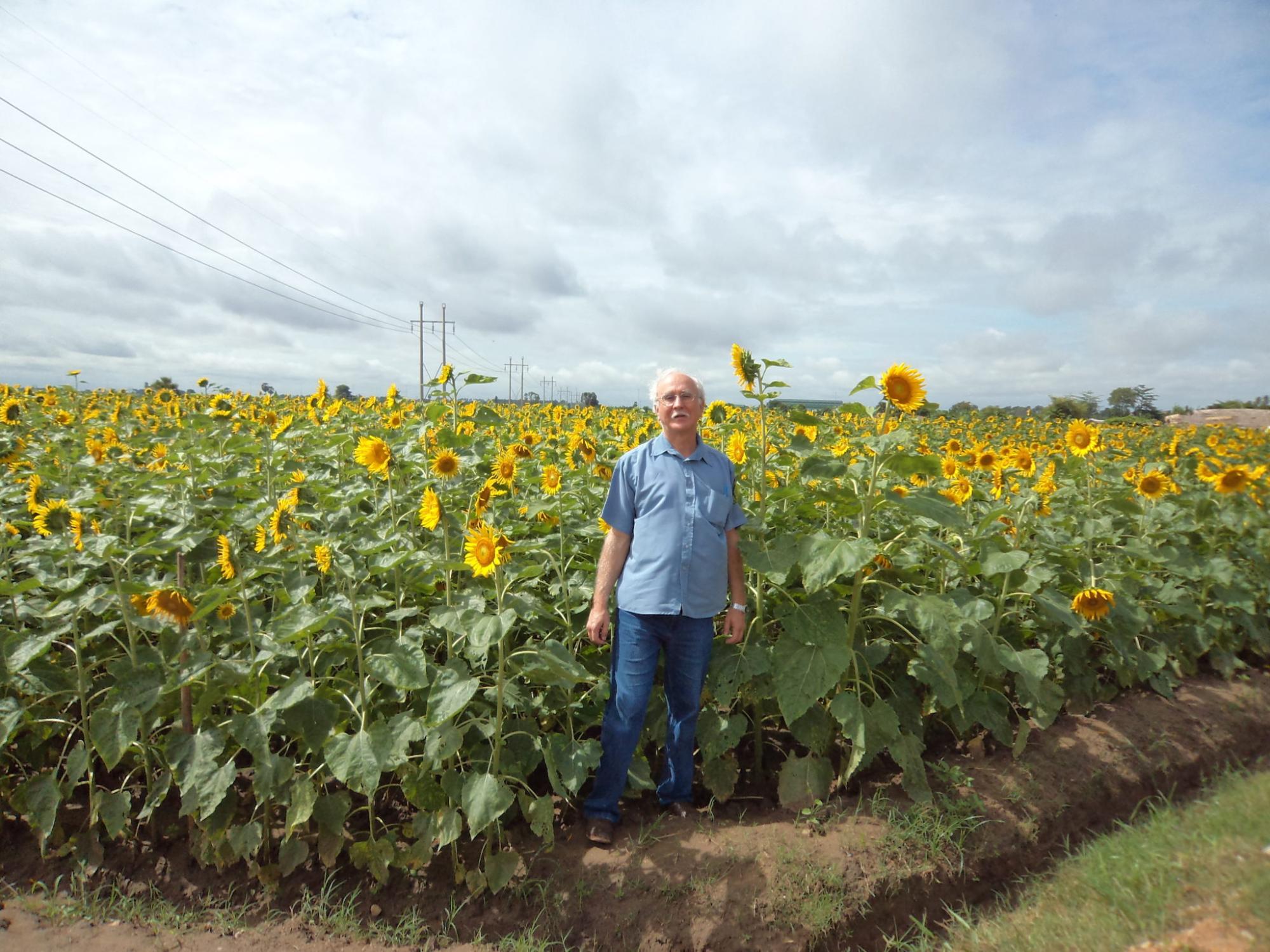 Advantages of Smart Pest Traps in Your Nut Orchard - Growing Produce