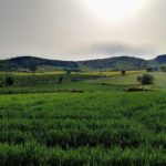 Besoins en eau du blé et systèmes d’irrigation