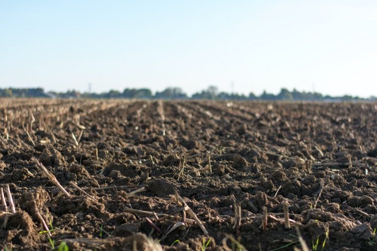 O Que Acidifica O De Solo E Quais S O As Suas Causas Wikifarmer