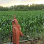 Sistemas de riego y necesidades hídricas del maíz