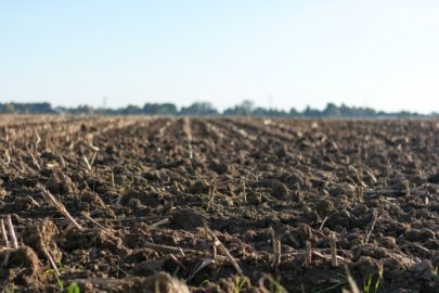 Что такое подкисление почвы и каковы его причины?