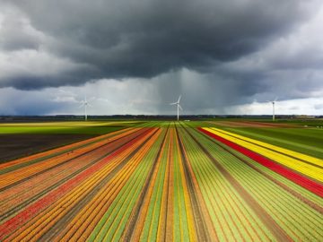 Что такое устойчивое сельское хозяйство?