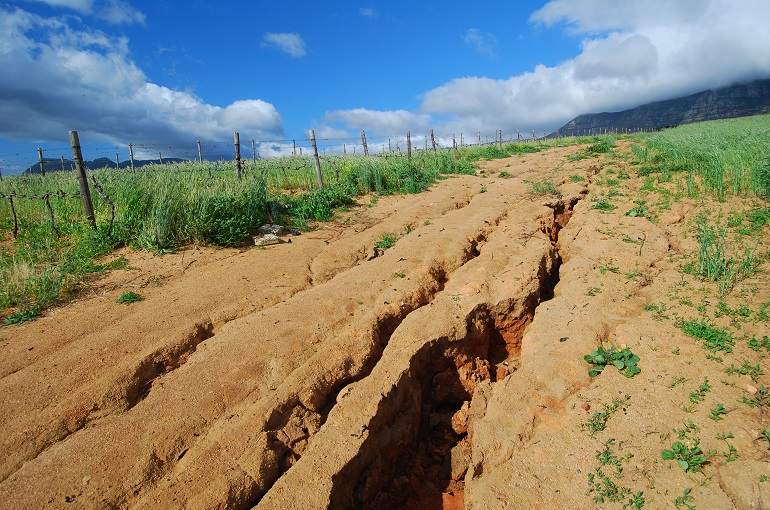 如何防止土壤侵蚀？
