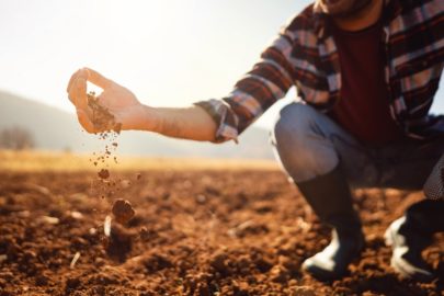 토양부식질(Soil Humus)이란 무엇인가?