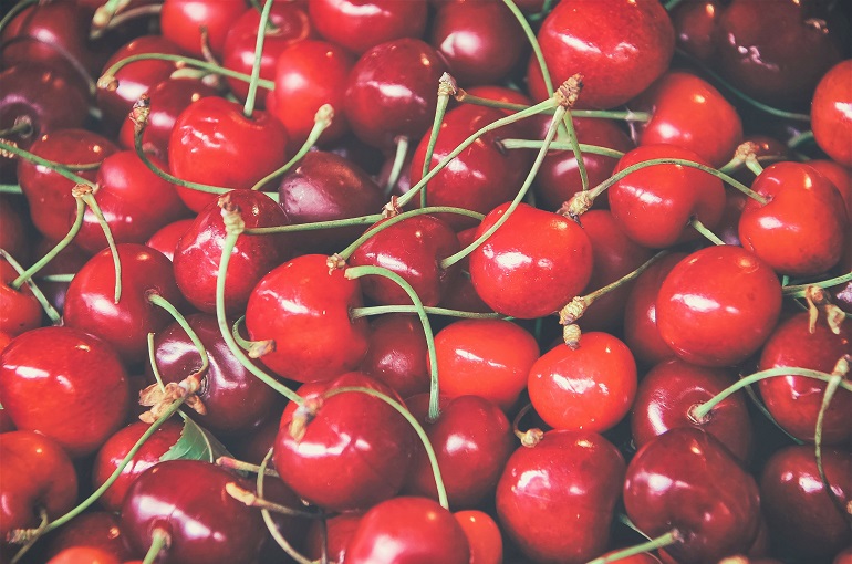 cherry tree facts