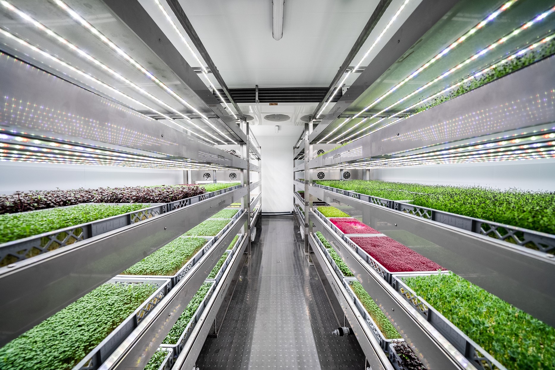 Aprender sobre 76+ imagem history of vertical farming - br.thptnganamst ...