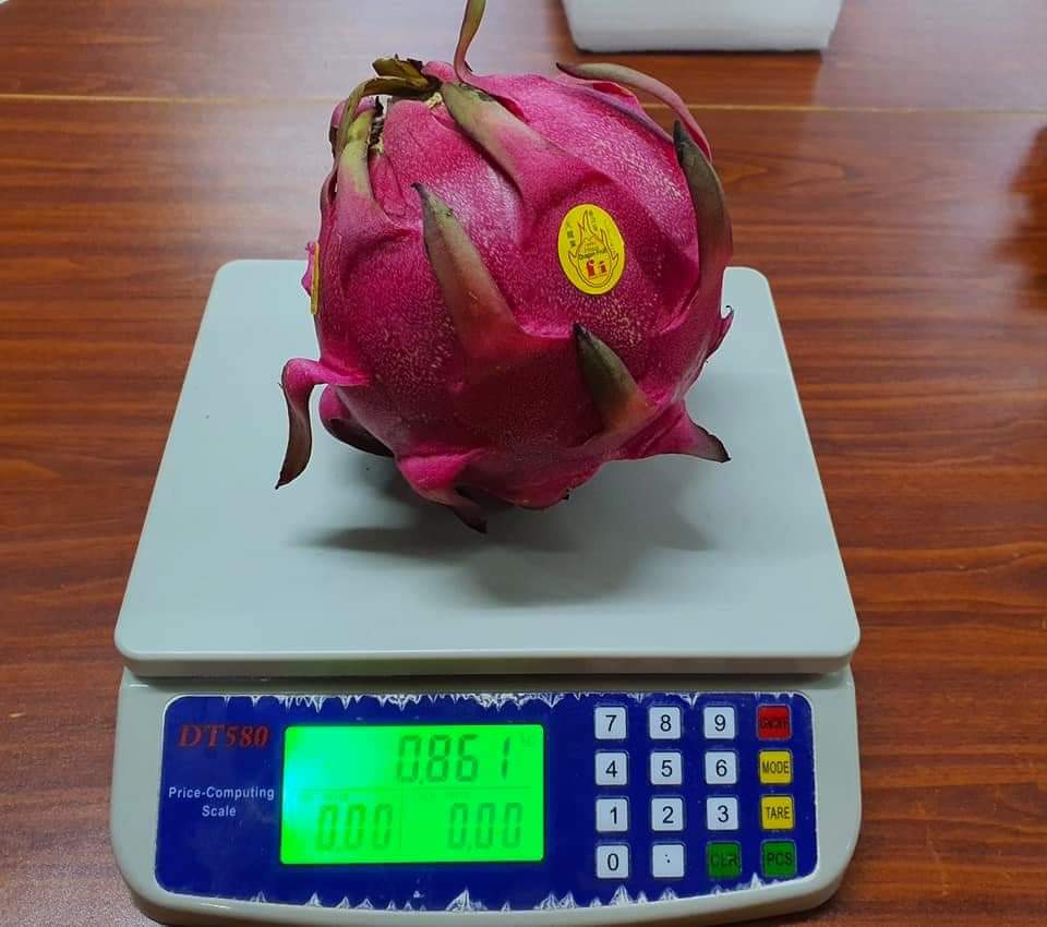 Packing and Selling and Export of Dragon Fruits