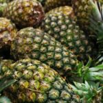 Pineapple Harvesting, Handling, Storage, and Selling
