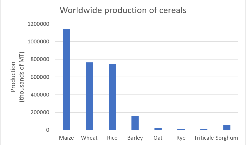 Oats - Health Benefits - worldwide production of cereals