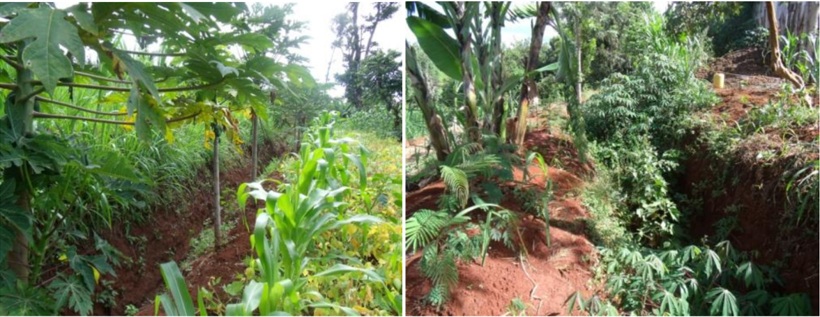Méthodes et alternatives d’irrigation conservant l’eau et le sol