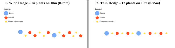 Example of creating a hedge to promote biodiversity 