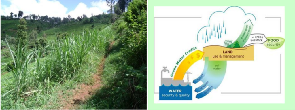 Landschaftsbezogene Ansätze und integrierte Bewirtschaftung von Wassereinzugsgebieten
