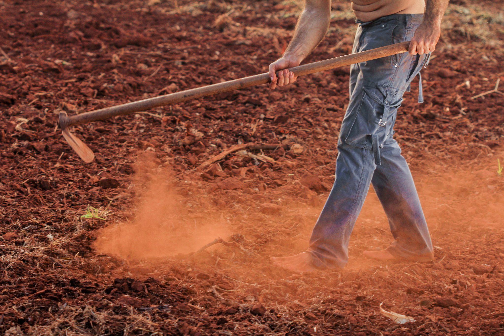 Le travail du sol peut parfois aider mais généralement nuire à la conservation des sols et des eaux