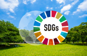 How can SDGs help in Narrowing the Digital Transformation Gap in Agri-food Systems?