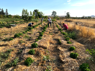 biodiversity practices