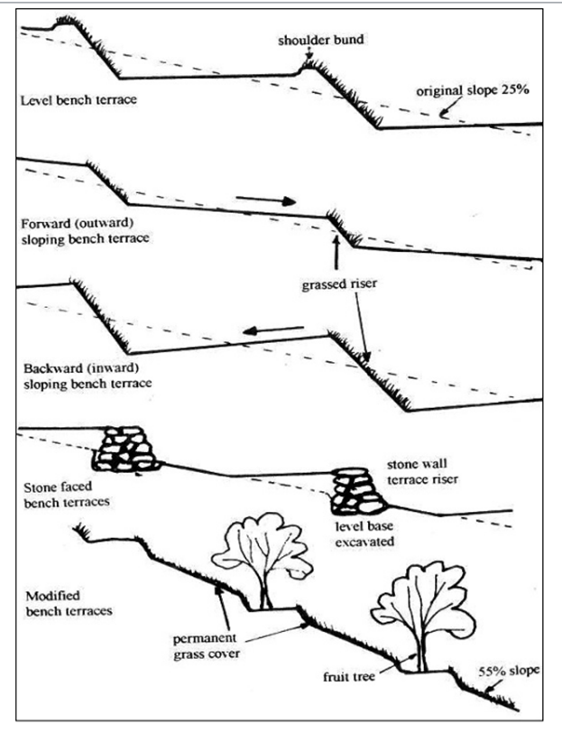 Structures de conservation du sol et de l'eau