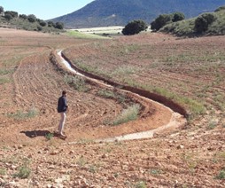 Swale at la Junquera Farm