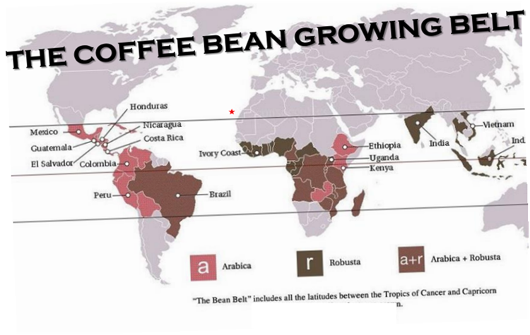 Coffee plant History and general Information