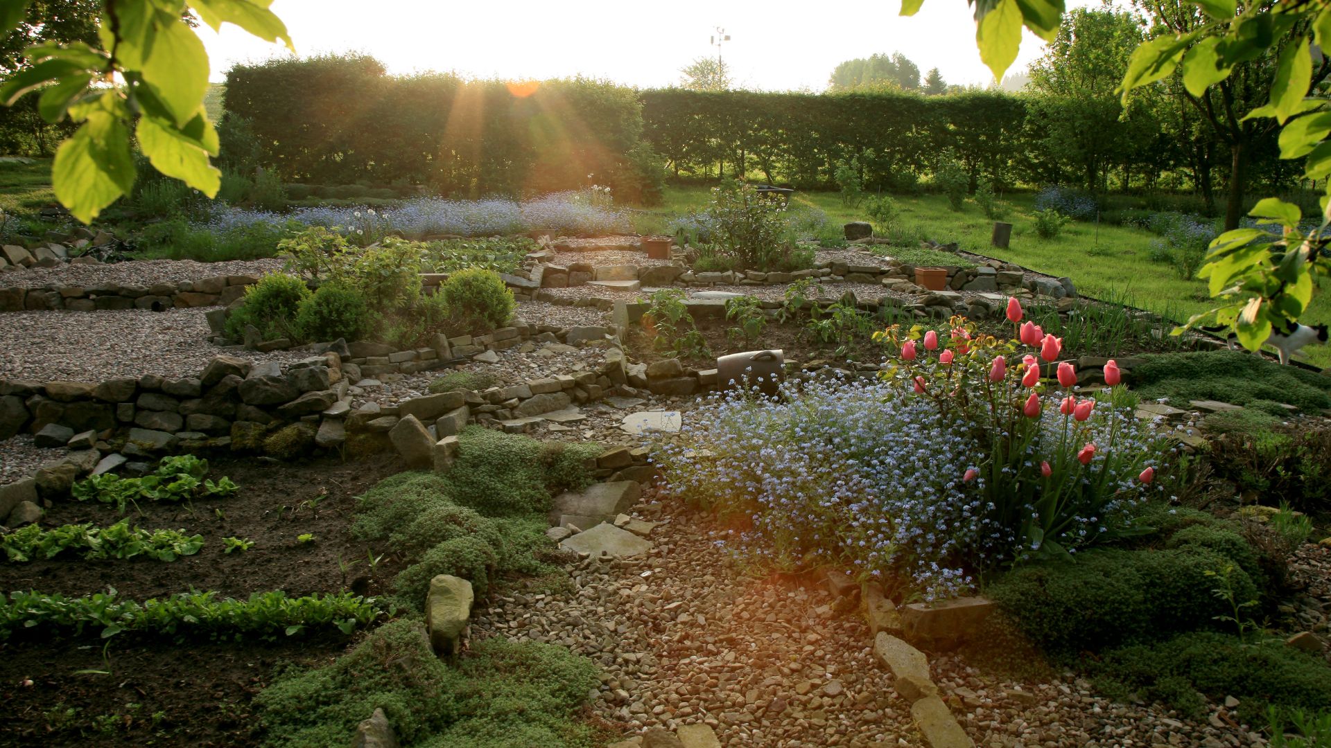 5 Simple Ideas for Transitioning into a Permaculture Garden - The  Permaculture Research Institute