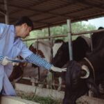 AgTech innovations in Livestock Production