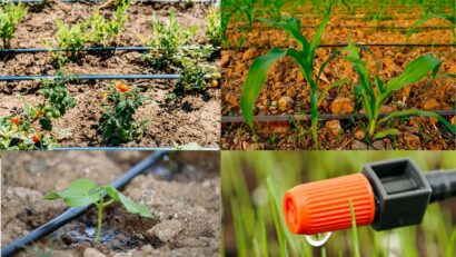 Types Of Irrigation Systems – Which To Choose Depending On Your Needs ...