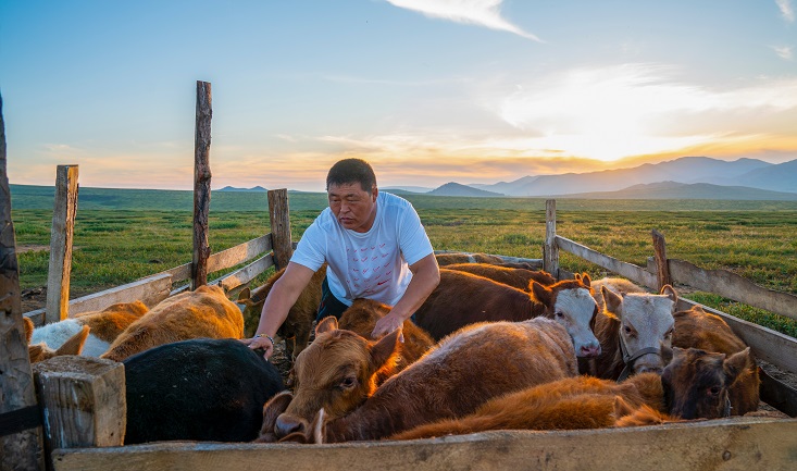 Training Livestock Farmers for Sustainability and Food Security