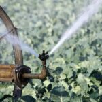 types of irrigation systems