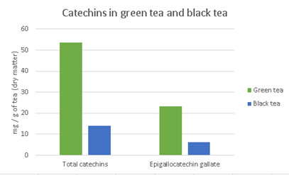 Catechins in Tea